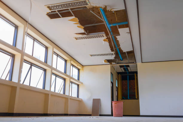 Best Water damage cleanup near me  in Frederick, CO