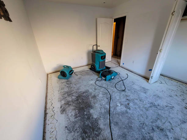 Best Water damage restoration cost  in Frederick, CO