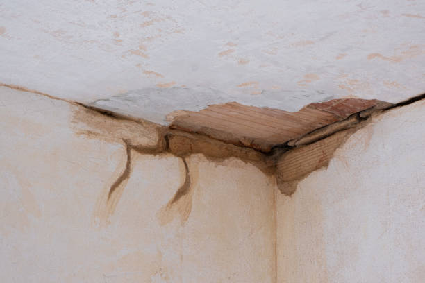  Frederick, CO Water damage restoration Pros