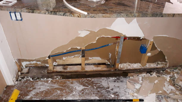 Best Carpet water damage restoration  in Frederick, CO