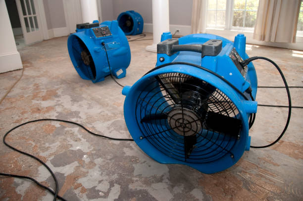 Water damage restoration mold remediation in CO