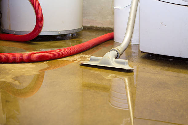 Best Basement water damage restoration  in Frederick, CO