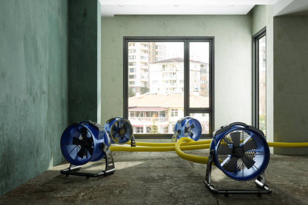 Best Water damage contractors near me  in Frederick, CO